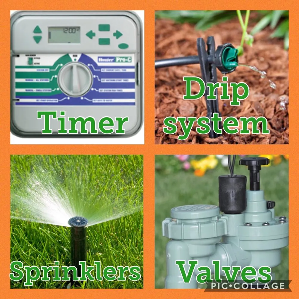 Local landscape design for outdoor upgrades across Santa Ana, CA - Cali Landscape Solutions