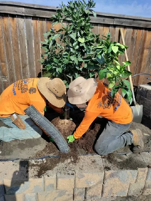 Reliable residential landscaping for residential properties across Sacramento, CA - Cali Landscaping