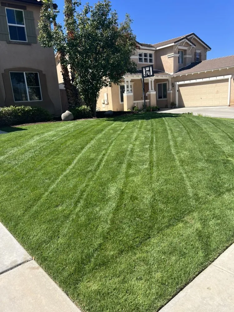Custom yard maintenance in Temecula, CA - Cali Lawn Care Services