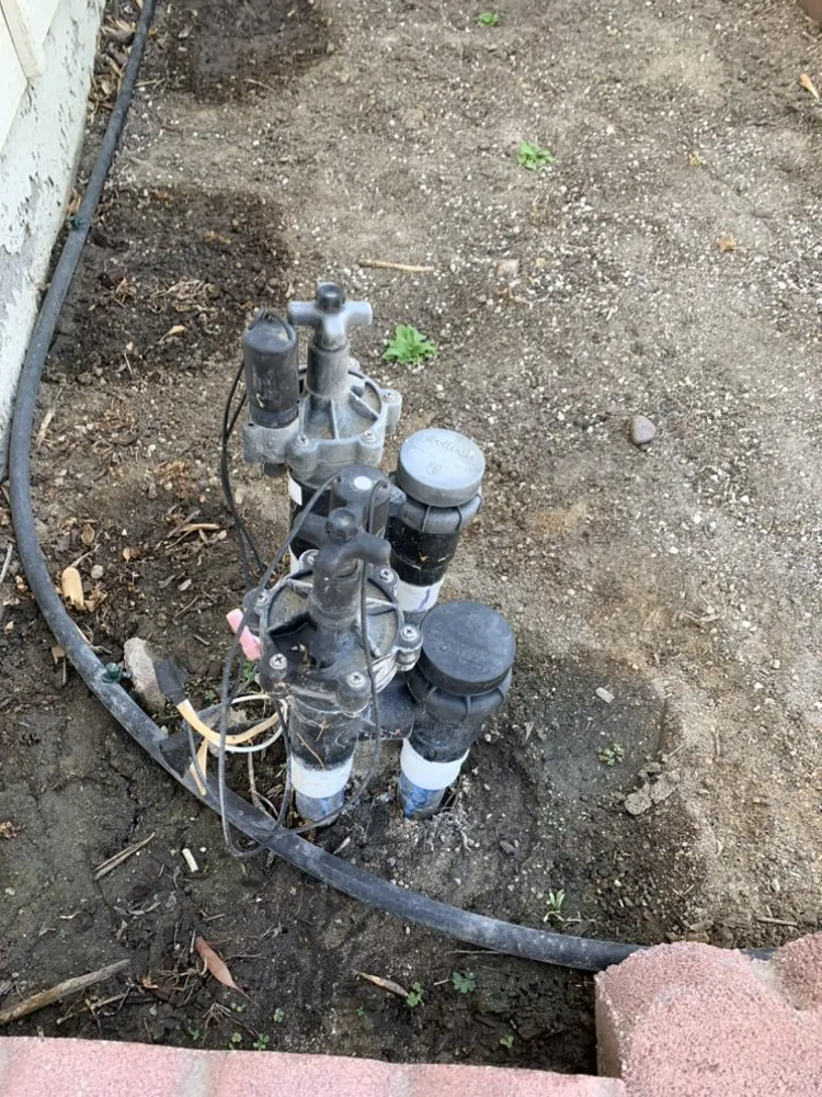 Local yard cleanup service in Temecula, CA by Cali Lawn Care Services