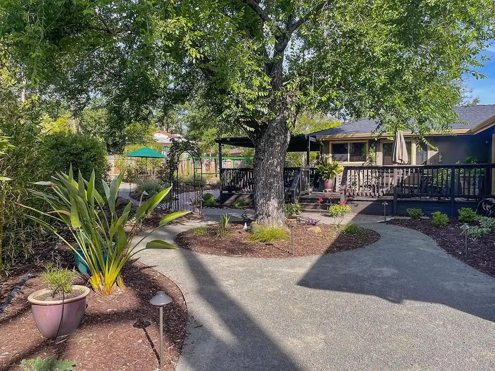 Reliable landscape design in Moraga, CA - Cali Scaping