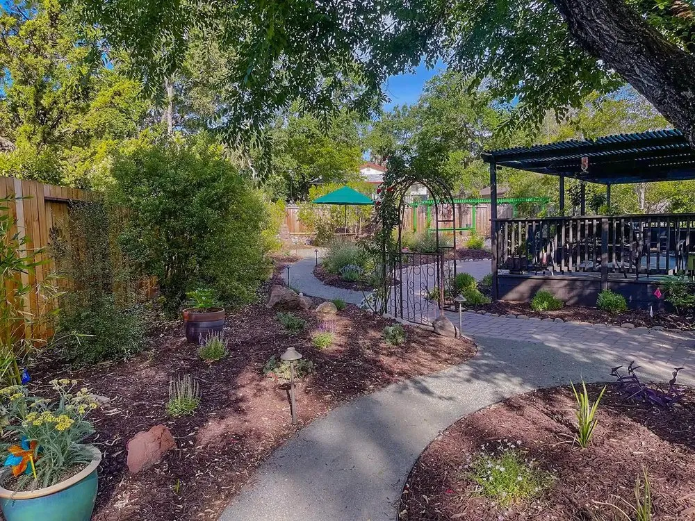 Reliable outdoor landscaping for year-round maintenance across Moraga, CA - Cali Scaping