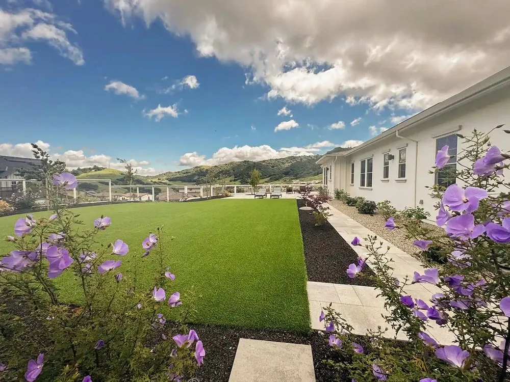 Expert landscape installation in Moraga, CA by Cali Scaping