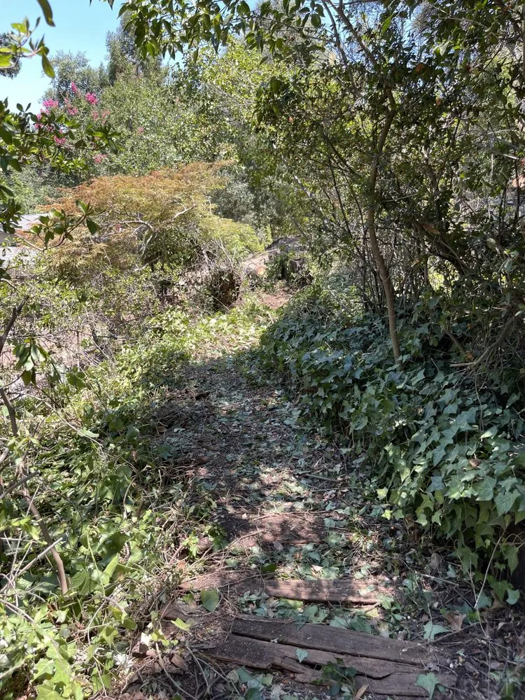 Custom landscape installation for outdoor upgrades across Folsom, CA - Cali V's Landscaping