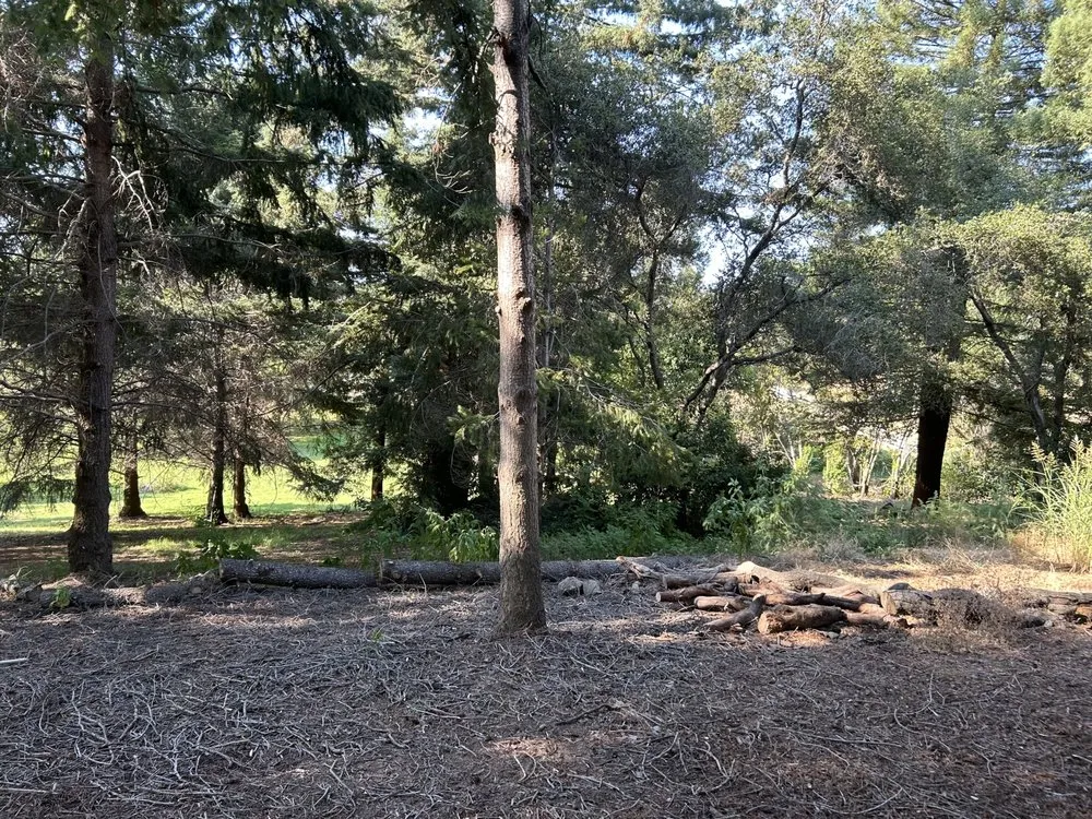 Expert garden landscaping experts serving Folsom, CA - Cali V's Landscaping