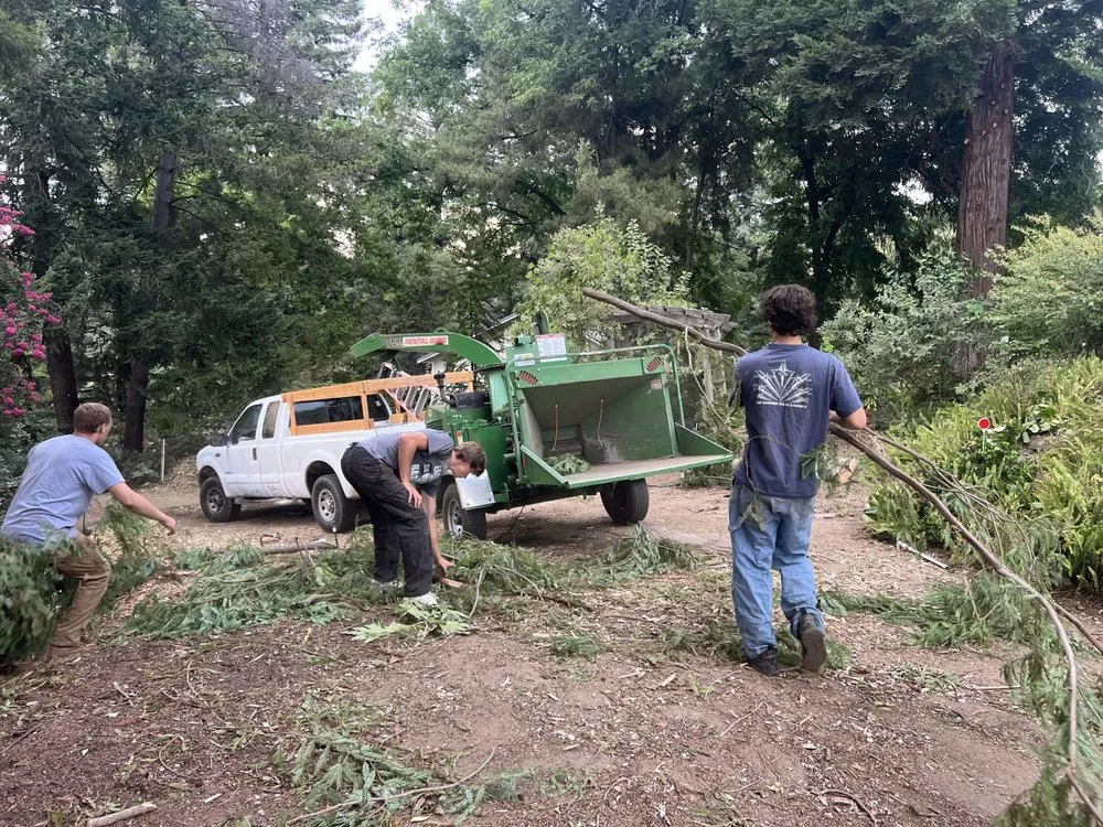 Custom lawn mowing service for homes across Folsom, CA - Cali V's Landscaping