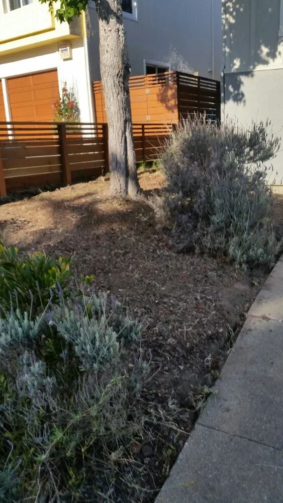 Local landscaping services for beautiful yards across San Mateo, CA - Cali51 Landscaping Services