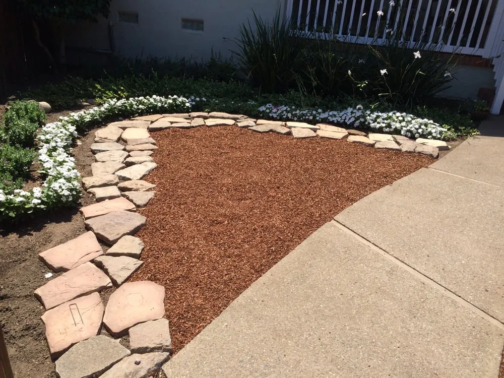 Custom yard cleanup service in San Mateo, CA - Cali51 Landscaping Services