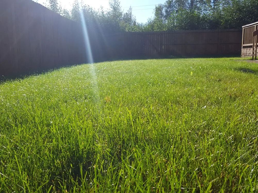Top-rated yard maintenance for residential properties across Anchorage, AK - Caliber