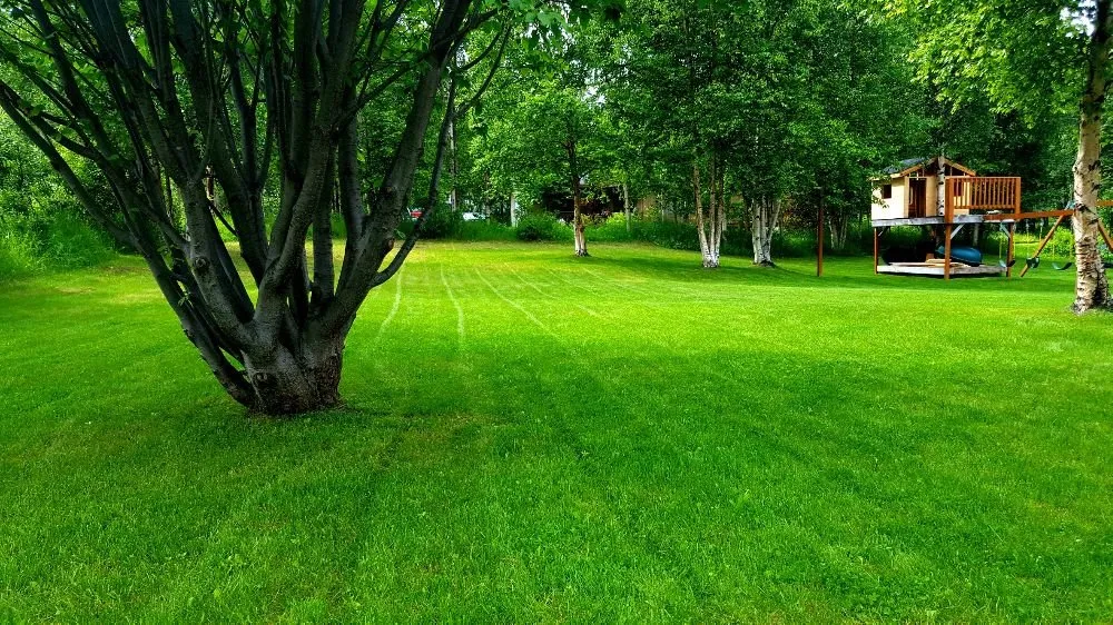 Professional outdoor landscaping experts serving Anchorage, AK - Caliber