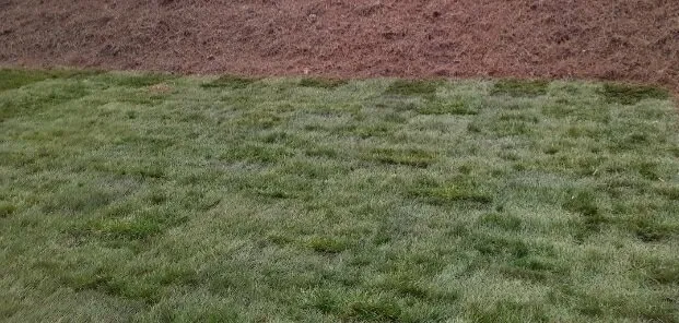 Affordable landscape design experts serving Durham, NC - Caliber Grading & Landscaping