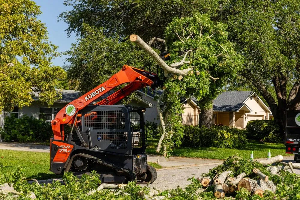 Local lawn mowing service in Clearwater, FL by Caliber Tree Experts