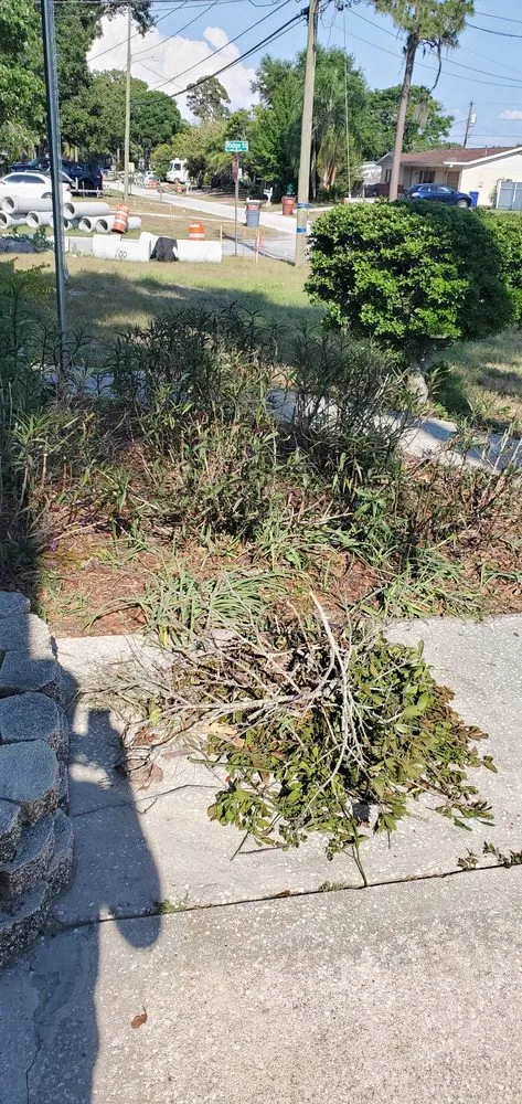 Trusted garden landscaping with custom design across Clearwater, FL - Caliber Tree Experts