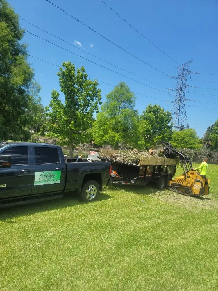 Top-rated residential landscaping in Clearwater, FL - Caliber Tree Experts