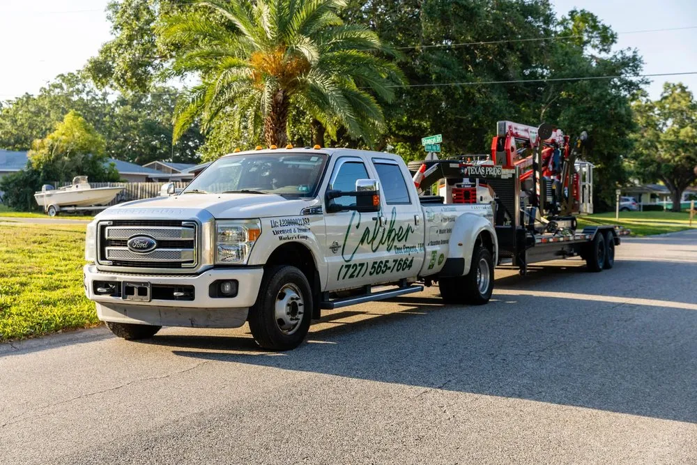Professional landscape installation in Clearwater, FL by Caliber Tree Experts