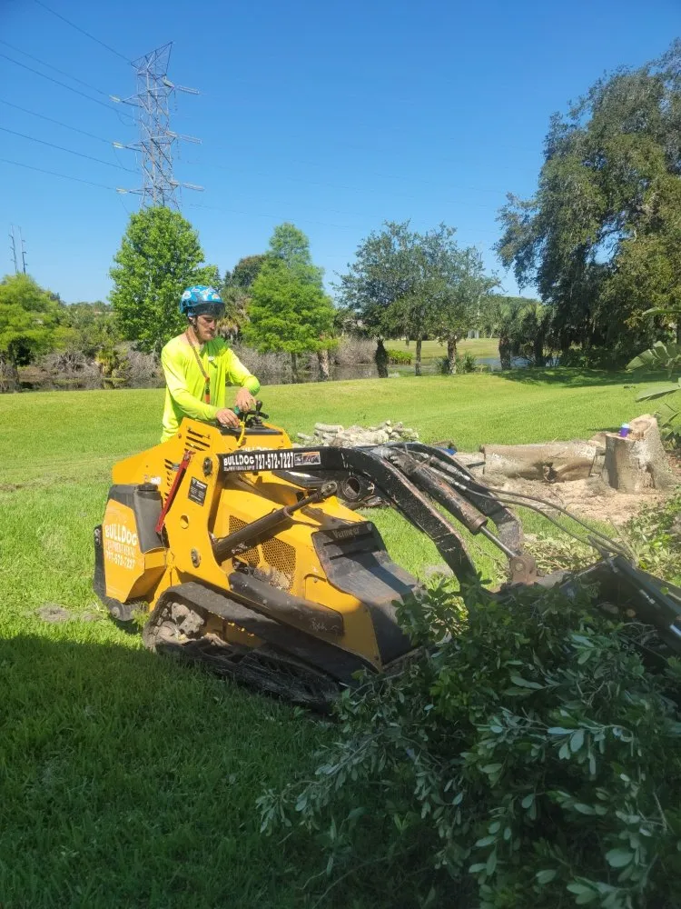 Local garden landscaping for beautiful yards across Clearwater, FL - Caliber Tree Experts