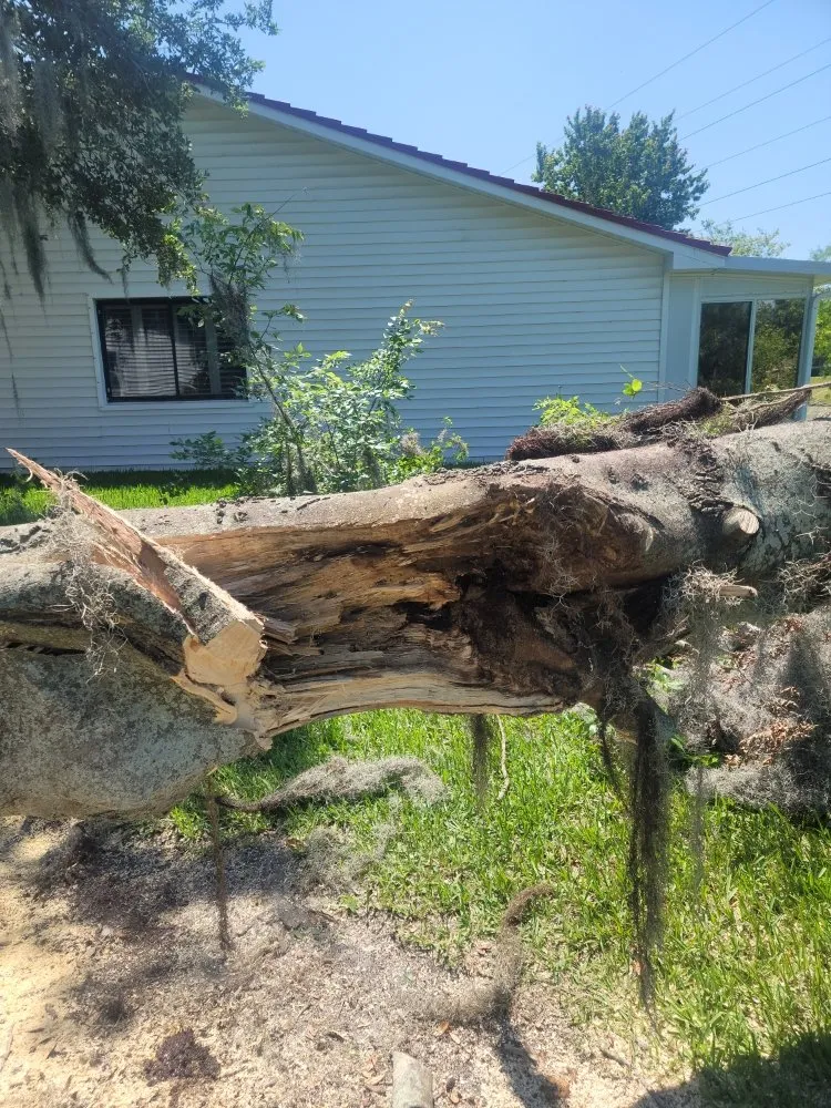 Affordable garden landscaping in Clearwater, FL - Caliber Tree Experts