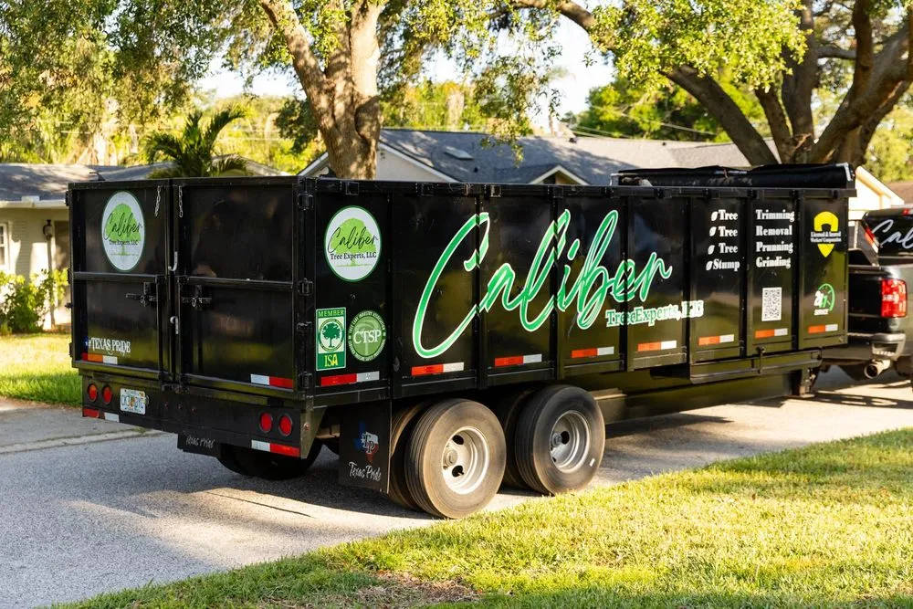 Top-rated landscaping services in Clearwater, FL by Caliber Tree Experts