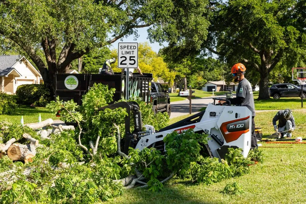 Affordable yard maintenance for beautiful yards in Clearwater, FL by Caliber Tree Experts