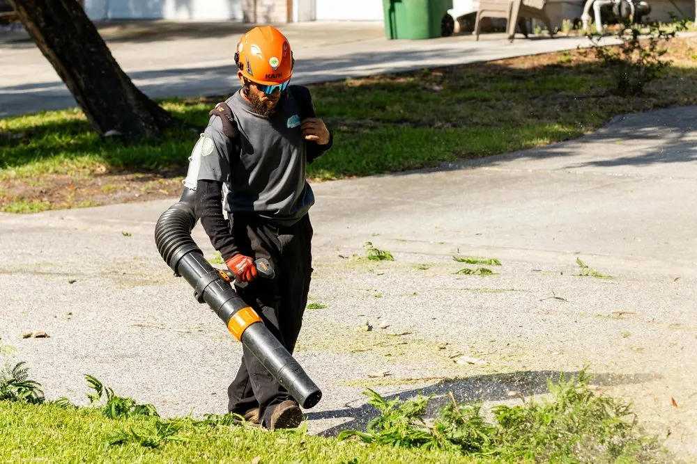 Professional yard cleanup service in Clearwater, FL - Caliber Tree Experts
