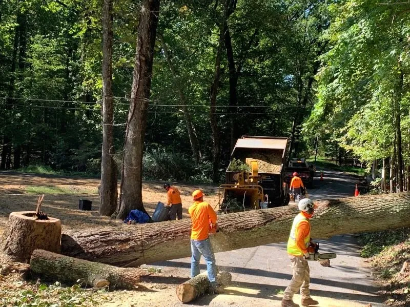 Local outdoor landscaping in Gambrills, MD - Caliber Tree Services