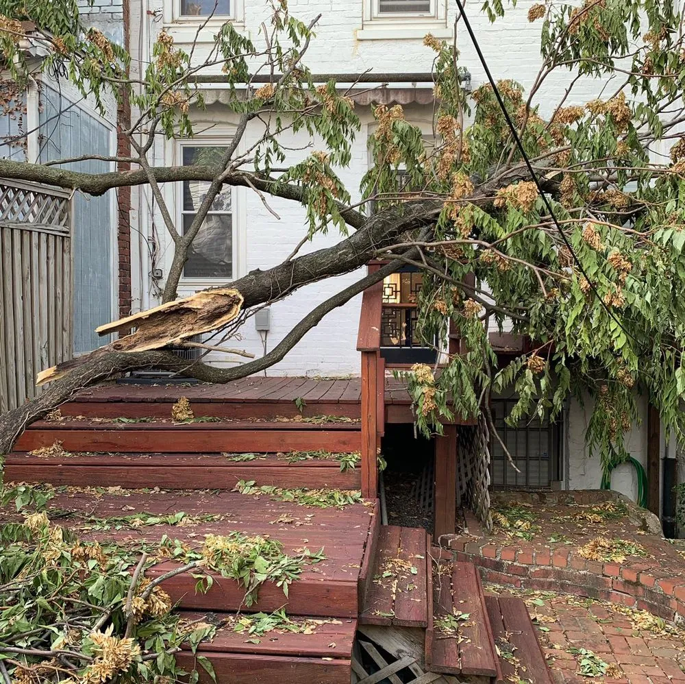 Affordable landscaping services in Gambrills, MD - Caliber Tree Services