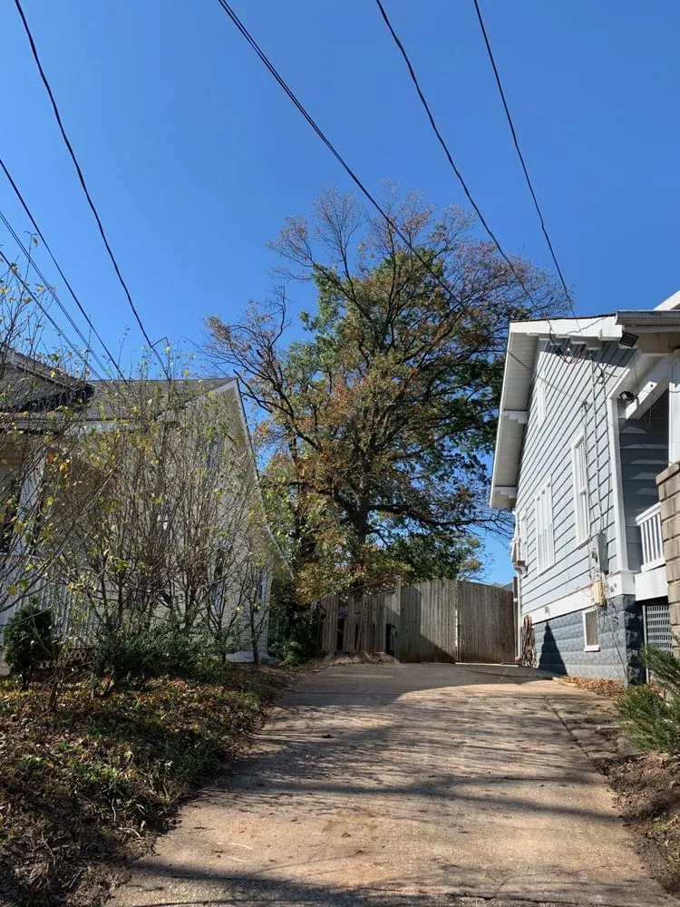 Reliable landscape design experts serving Gambrills, MD - Caliber Tree Services