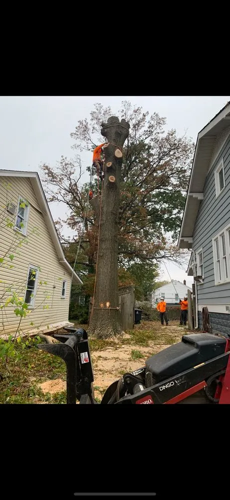 Top-rated landscape installation in Gambrills, MD - Caliber Tree Services