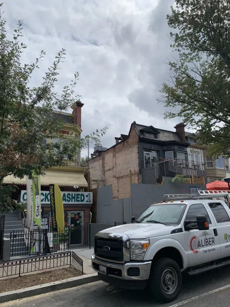 Top-rated landscape design near you in Gambrills, MD by Caliber Tree Services