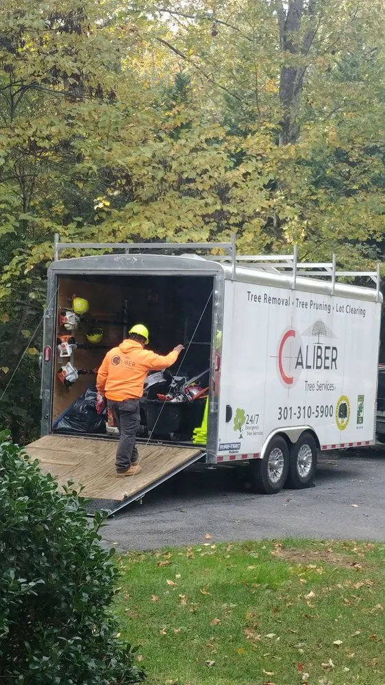 Reliable yard cleanup service in Gambrills, MD by Caliber Tree Services