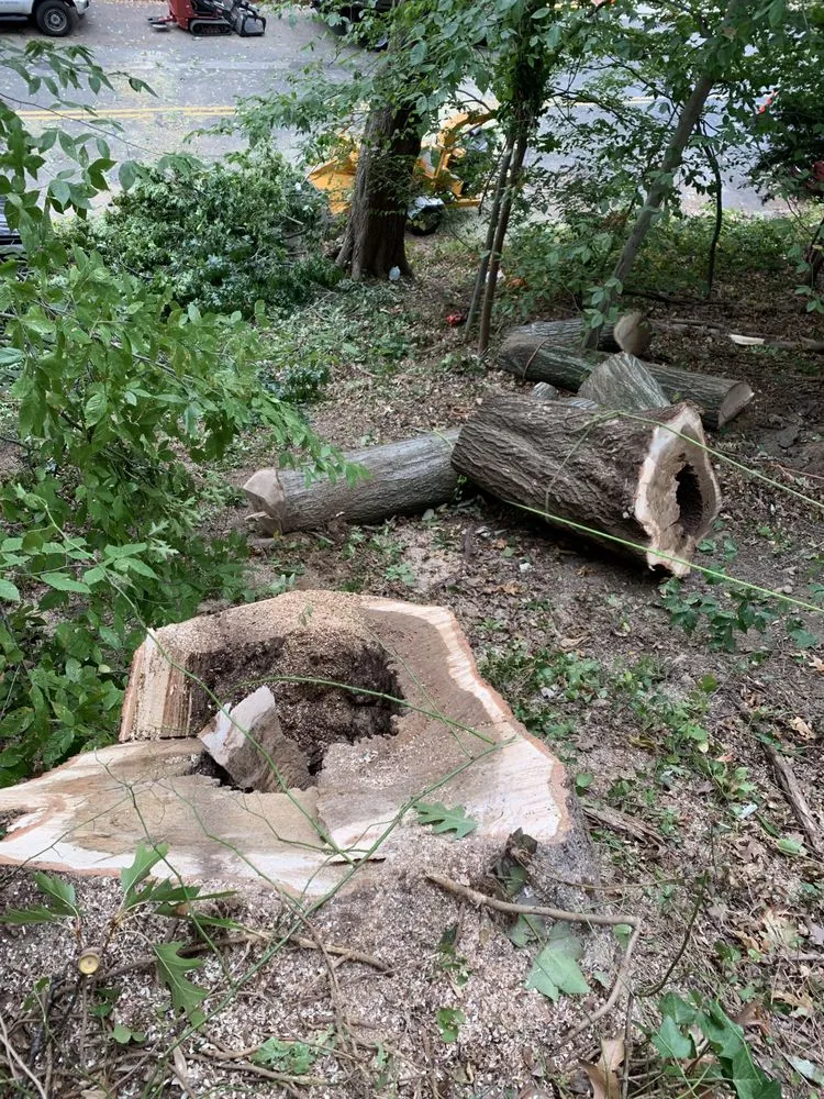 Custom lawn mowing service in Gambrills, MD by Caliber Tree Services