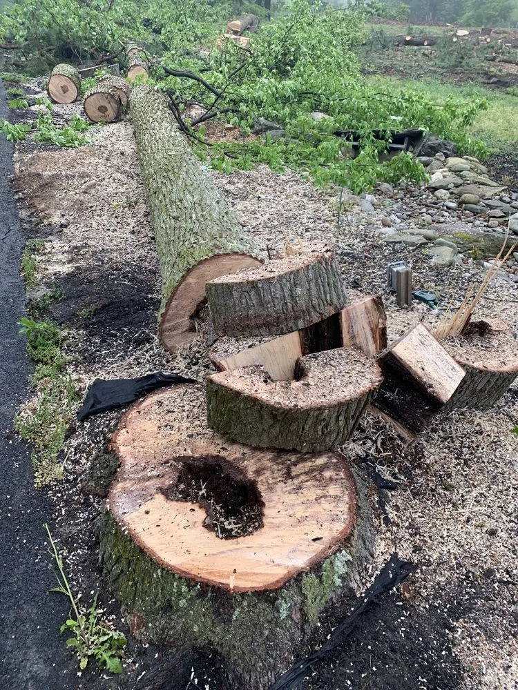 Affordable lawn mowing service experts serving Gambrills, MD - Caliber Tree Services