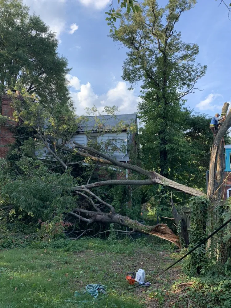 Custom lawn mowing service in Gambrills, MD by Caliber Tree Services