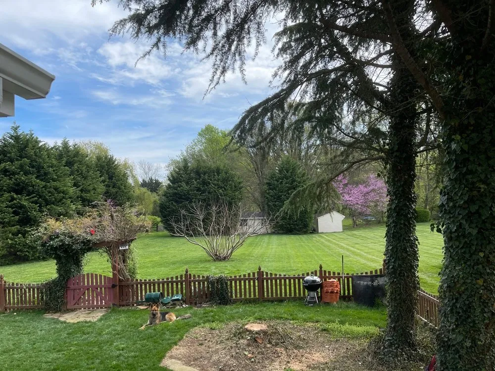 Professional lawn mowing service experts serving Gambrills, MD - Caliber Tree Services