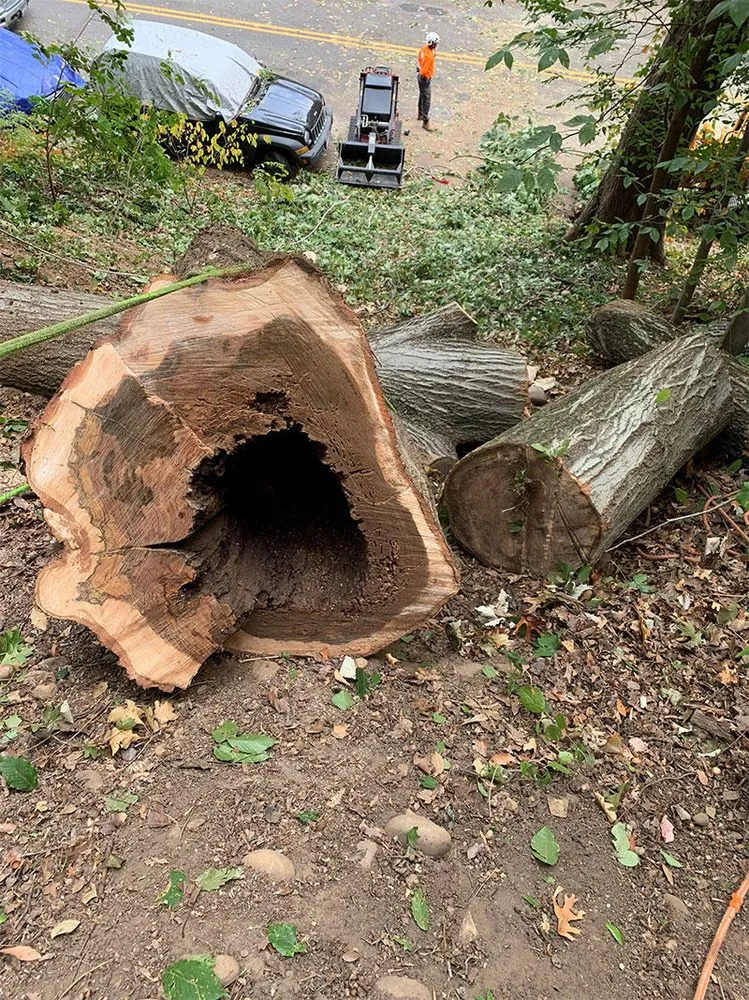 Top-rated lawn mowing service experts serving Gambrills, MD - Caliber Tree Services