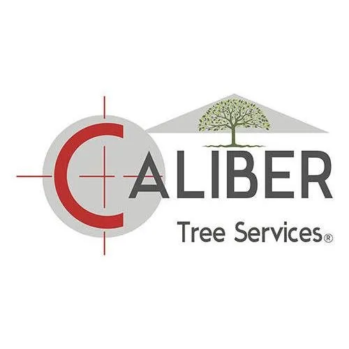 Top-rated landscape installation experts serving Gambrills, MD - Caliber Tree Services