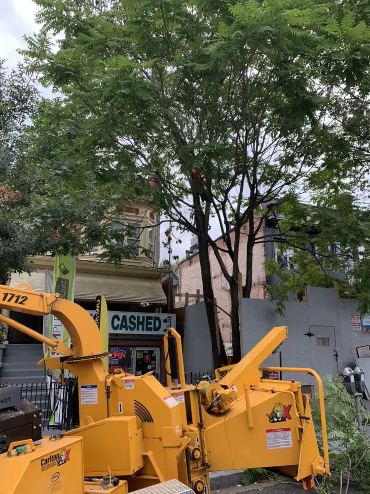 Top-rated landscape design experts serving Gambrills, MD - Caliber Tree Services