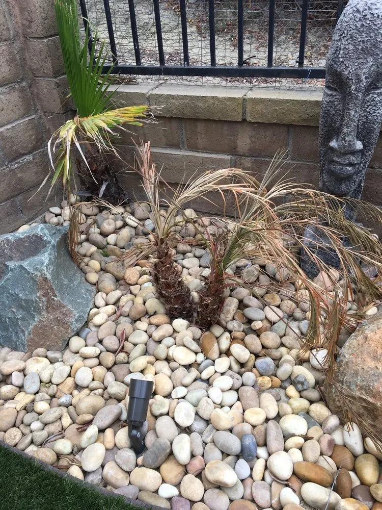 Expert residential landscaping for outdoor upgrades in Mission Viejo, CA by Calico Landscape