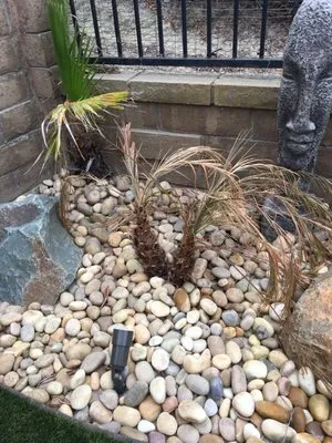 Calico Landscape Logo