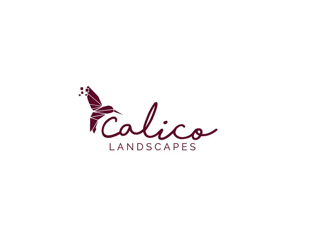 Affordable yard cleanup service near you across Dallas, TX - Calico Landscapes