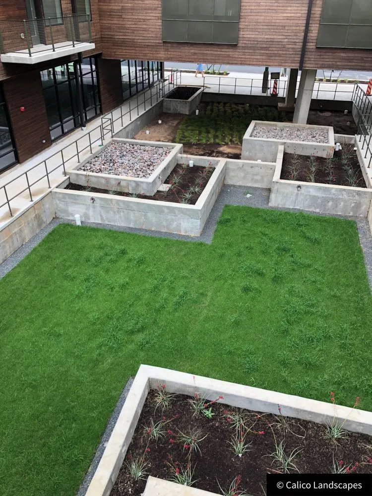 Local yard cleanup service for outdoor upgrades in Dallas, TX by Calico Landscapes