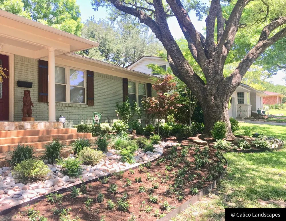 Top-rated lawn care service experts serving Dallas, TX - Calico Landscapes