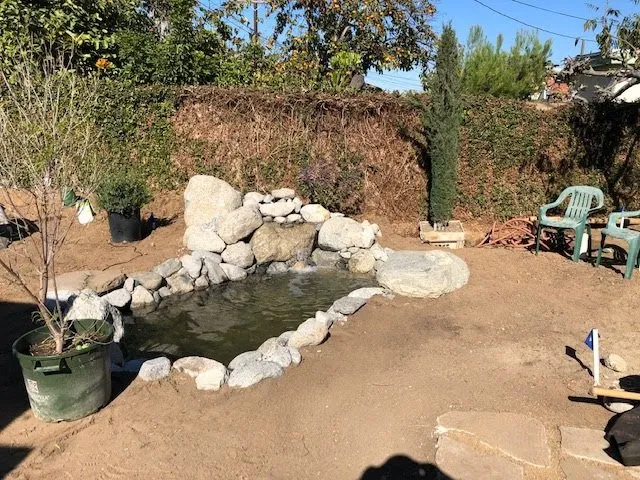 Affordable lawn mowing service in Canoga Park, CA by Caliente Landscape