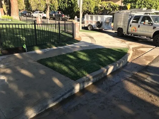 Professional landscape installation in Canoga Park, CA by Caliente Landscape