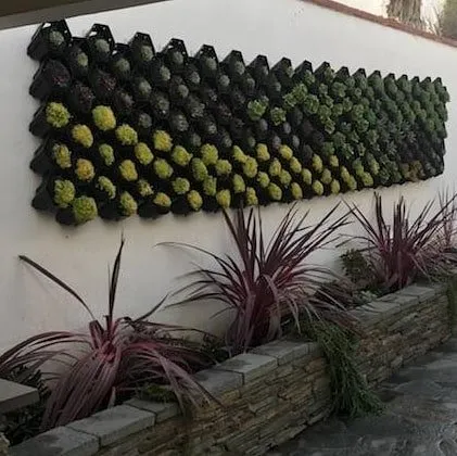 Trusted outdoor landscaping for outdoor upgrades across Canoga Park, CA - Caliente Landscape