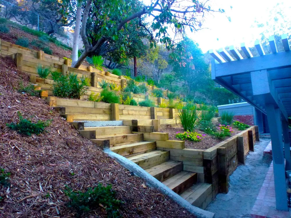 Expert yard maintenance in Canoga Park, CA - Caliente Landscape