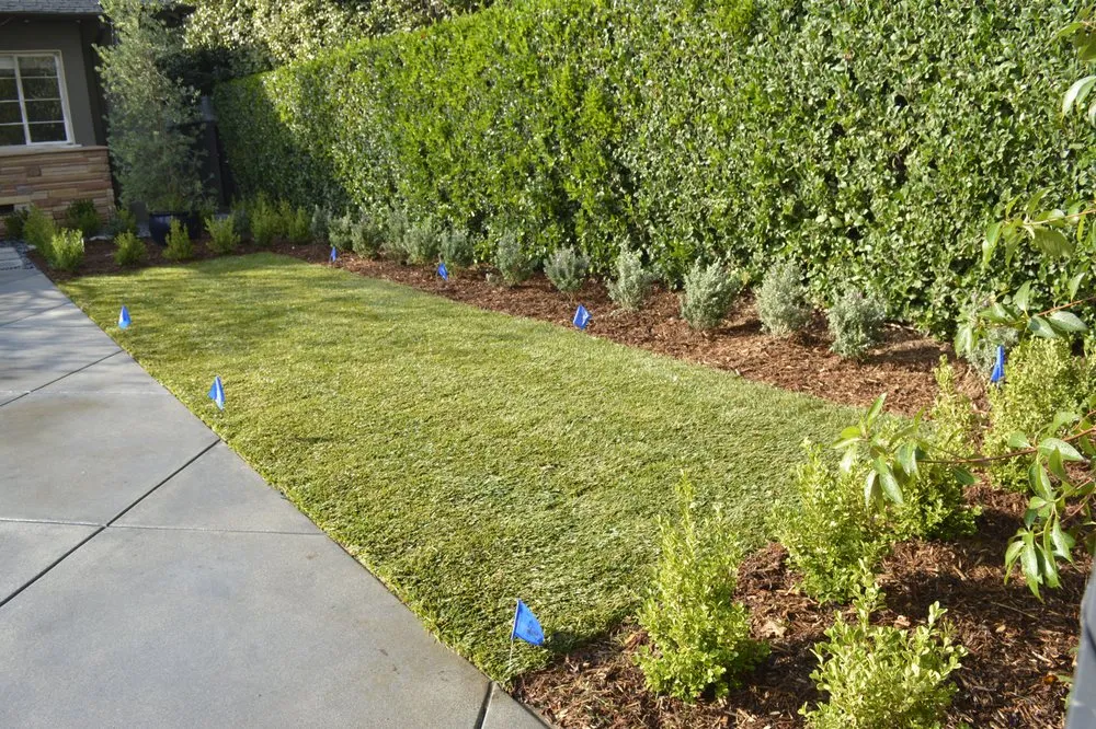 Top-rated yard cleanup service for outdoor upgrades in Canoga Park, CA by Caliente Landscape