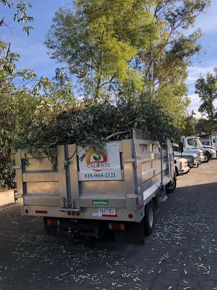 Reliable residential landscaping for year-round maintenance across Canoga Park, CA - Caliente Landscape