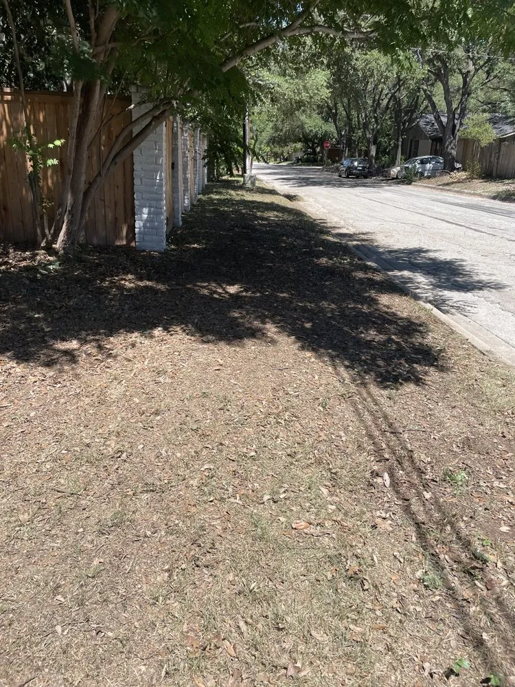 Affordable landscaping services in San Antonio, TX by Caliente Landscape