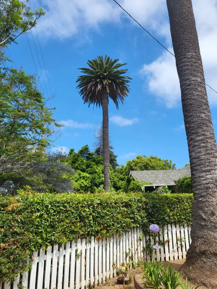 Top-rated landscape design for homes across Santa Barbara, CA - Caliever Landscapes